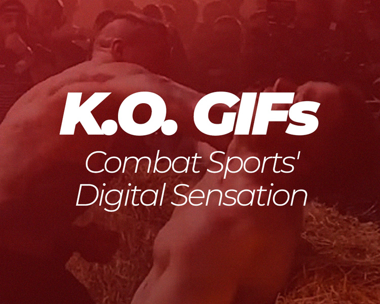 Knockout GIFs: Combat Sports' Digital Sensation