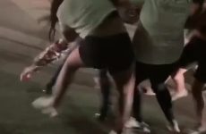 Girl fight that stopped traffic - Best Street Fight