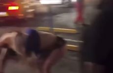A bunch of girls fighting in a parking lot - Best Street Fight